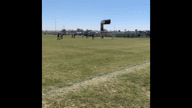 Video of 2021 Spotlight
