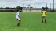 Video of 2020 Highlights