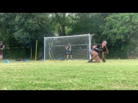 Video of Training Session 3