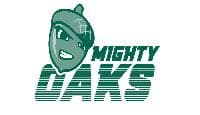 program logo